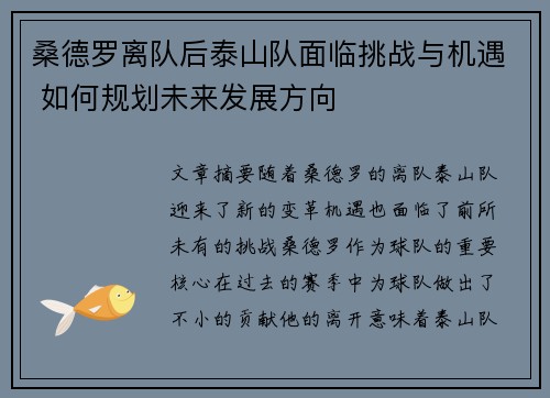 桑德罗离队后泰山队面临挑战与机遇 如何规划未来发展方向