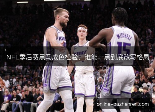 NFL季后赛黑马成色检验，谁能一黑到底改写格局